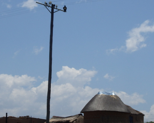 Extra Insulator on the wire pole.